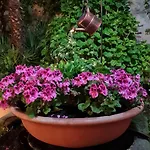Giardino Del Sole Hotel *