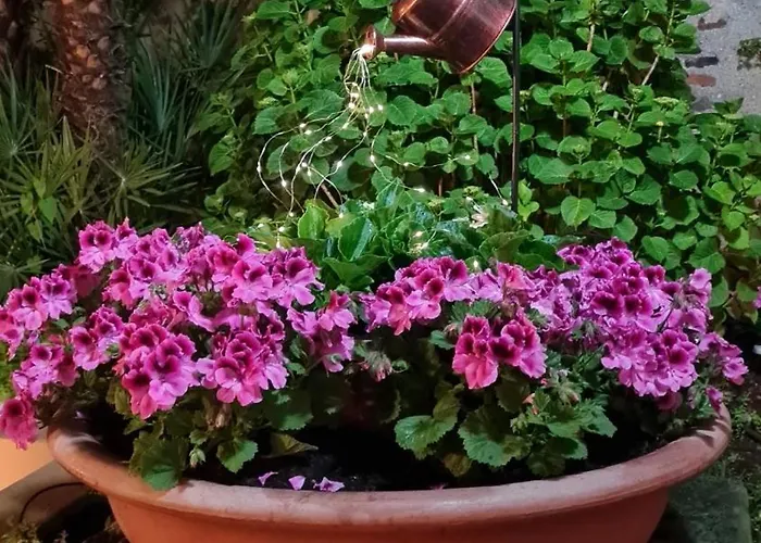 Giardino Del Sole ホテル *